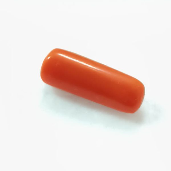 Red Coral (लाल मूंगा)