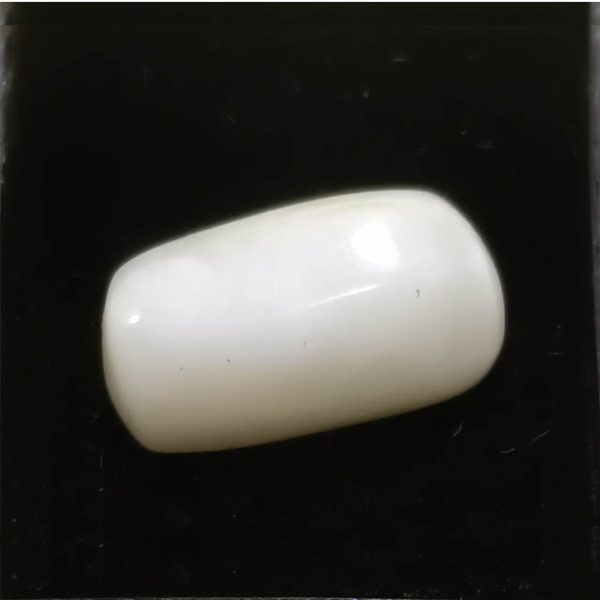 White Coral (सफ़ेद मूंगा)