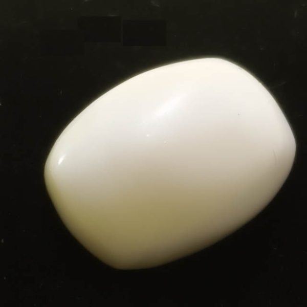 White Coral (सफ़ेद मूंगा)