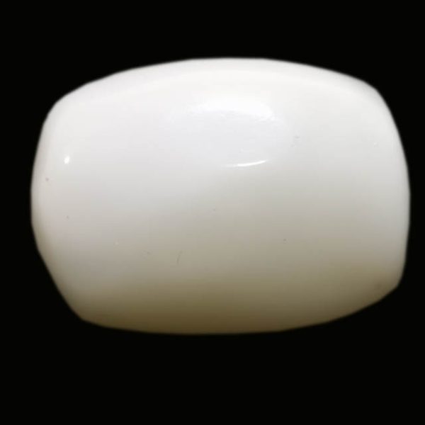 White Coral (सफ़ेद मूंगा)