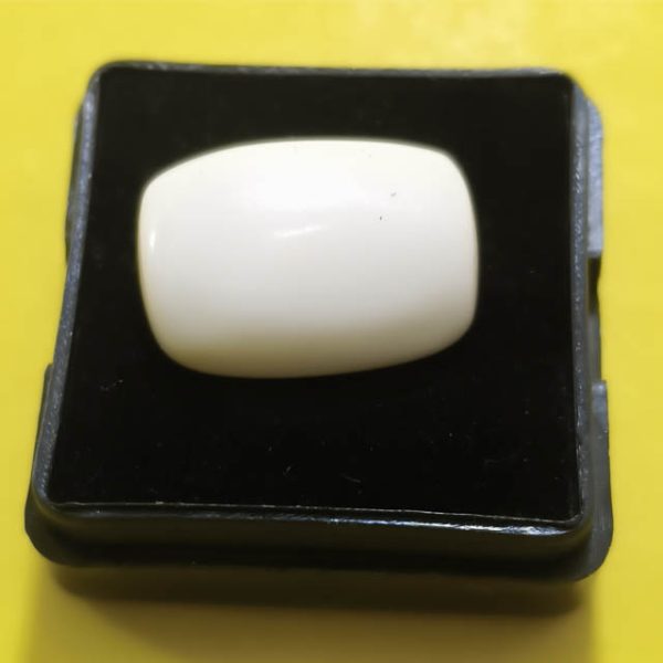 White Coral (सफ़ेद मूंगा)