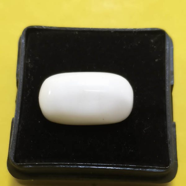 White Coral (सफ़ेद मूंगा)