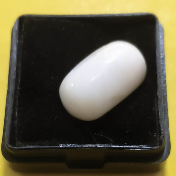 White Coral (सफ़ेद मूंगा)